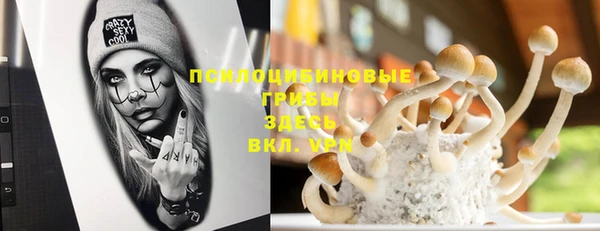 mix Вяземский