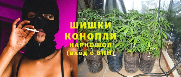 PSILOCYBIN Вязники