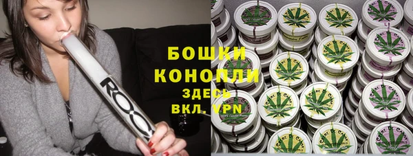 PSILOCYBIN Вязники