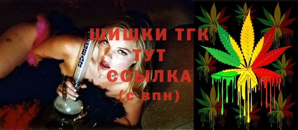 PSILOCYBIN Вязники