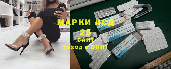 PSILOCYBIN Вязники